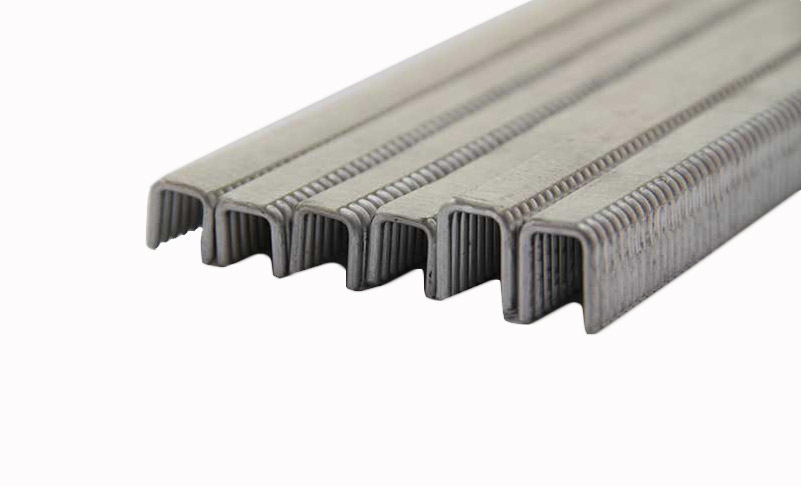 ʳ�þ�����